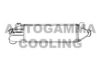 AUTOGAMMA 103099 Intercooler, charger